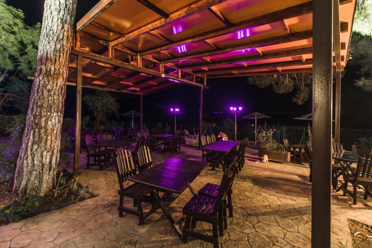 Pine View Boutique Hotel Adults Only Σαΐτας Εξωτερικό φωτογραφία